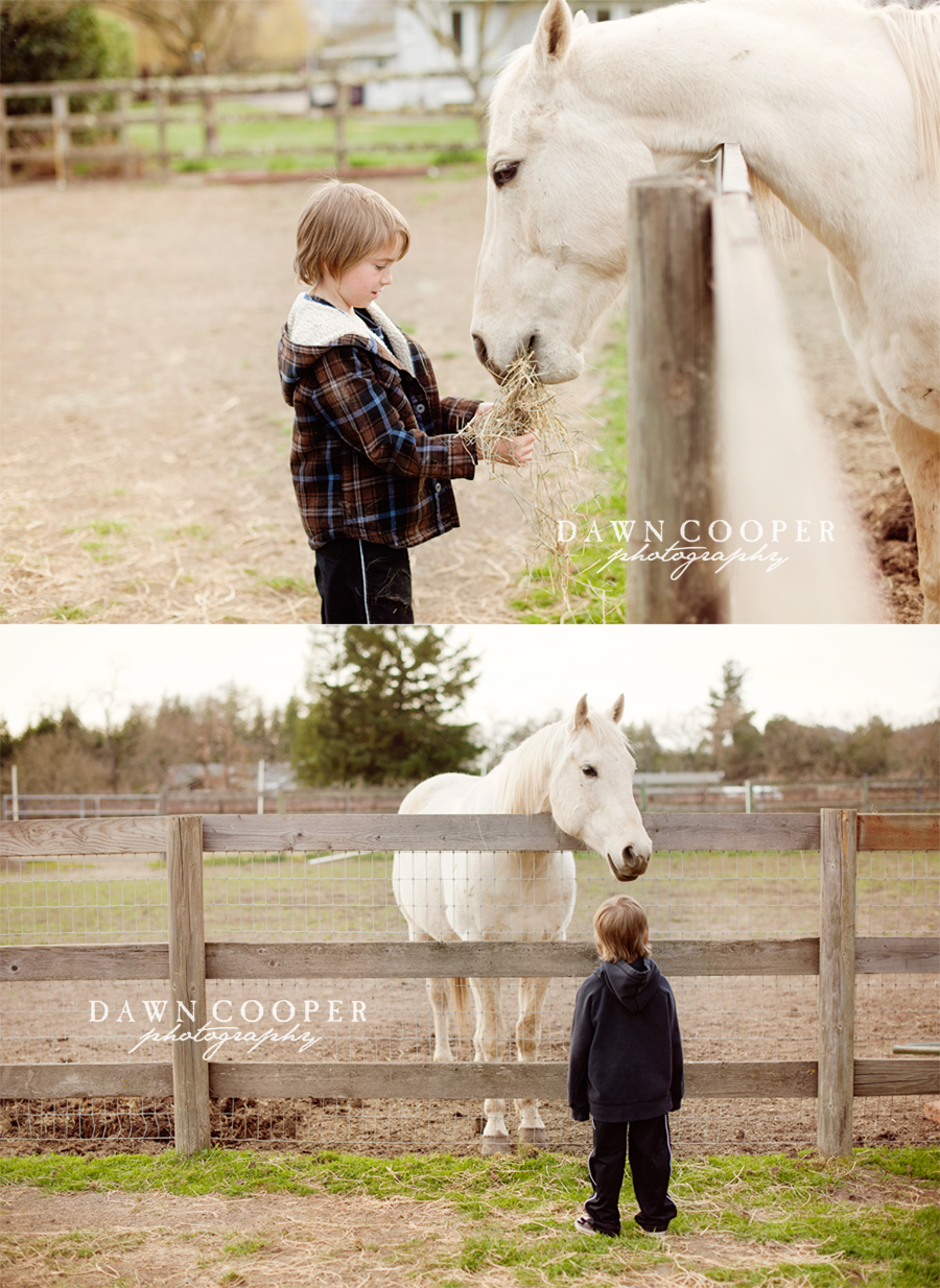 Grandparents Ranch Photos Sonoma County Photographer